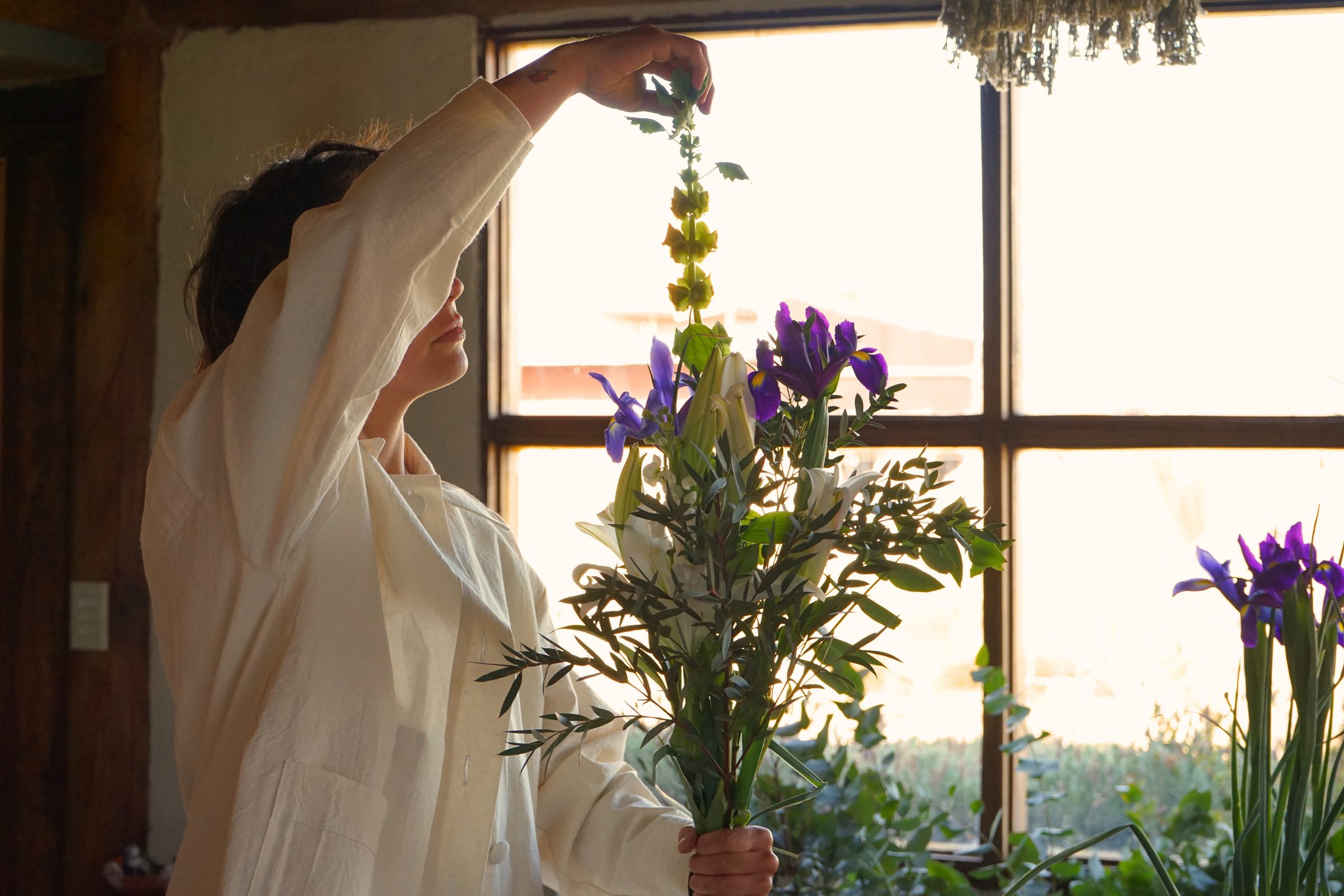 Winifred armando una escena botánica con flores frescas junto a una ventana